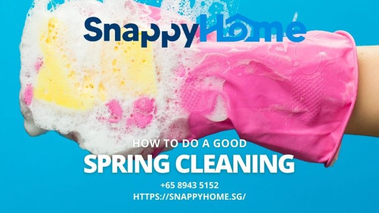 Spring Cleaning SnappyHome